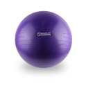 Gymnastický míč MASTER Super Ball průměr 55 cm - fialový