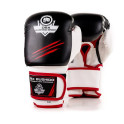 Boxerské rukavice DBX BUSHIDO DBD-B-2 v3 8 oz