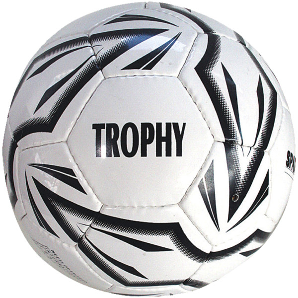 Fotbalový míč SPARTAN Trophy 5