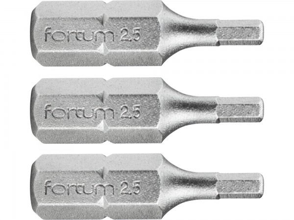 Fortum 4741503 hrot imbus sada 3ks, H 2,5x25mm, S2